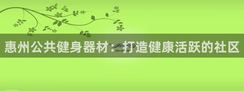 凯时旗舰厅App下载：惠州公共健身器材：打造健康活跃的社区